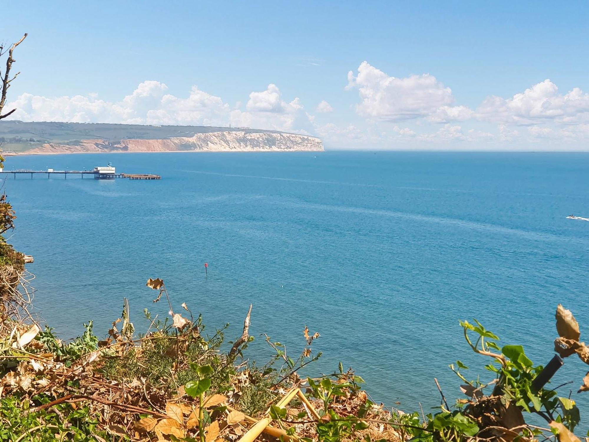 Sunny South Sandown